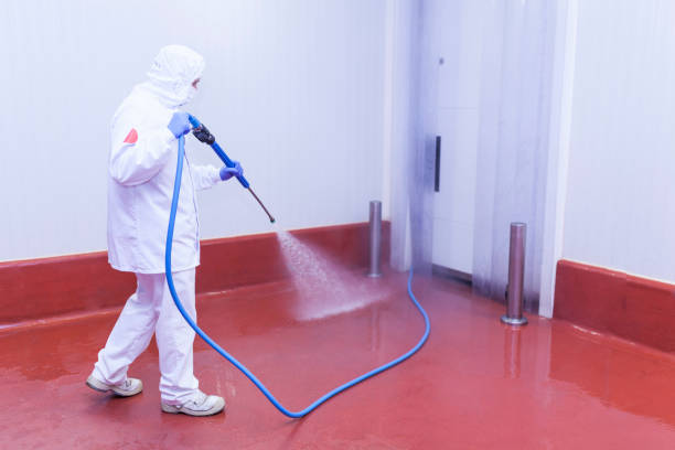 Professional Pressure Washing Services in Duenweg, MO