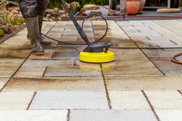 Best Solar Panel Cleaning  in Duenweg, MO