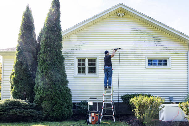 Best Dumpster Area Cleaning  in Duenweg, MO